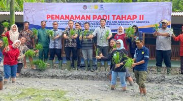 Lapas kelas IIB muara Bulian kembali melakukan penanaman padi tahap II
